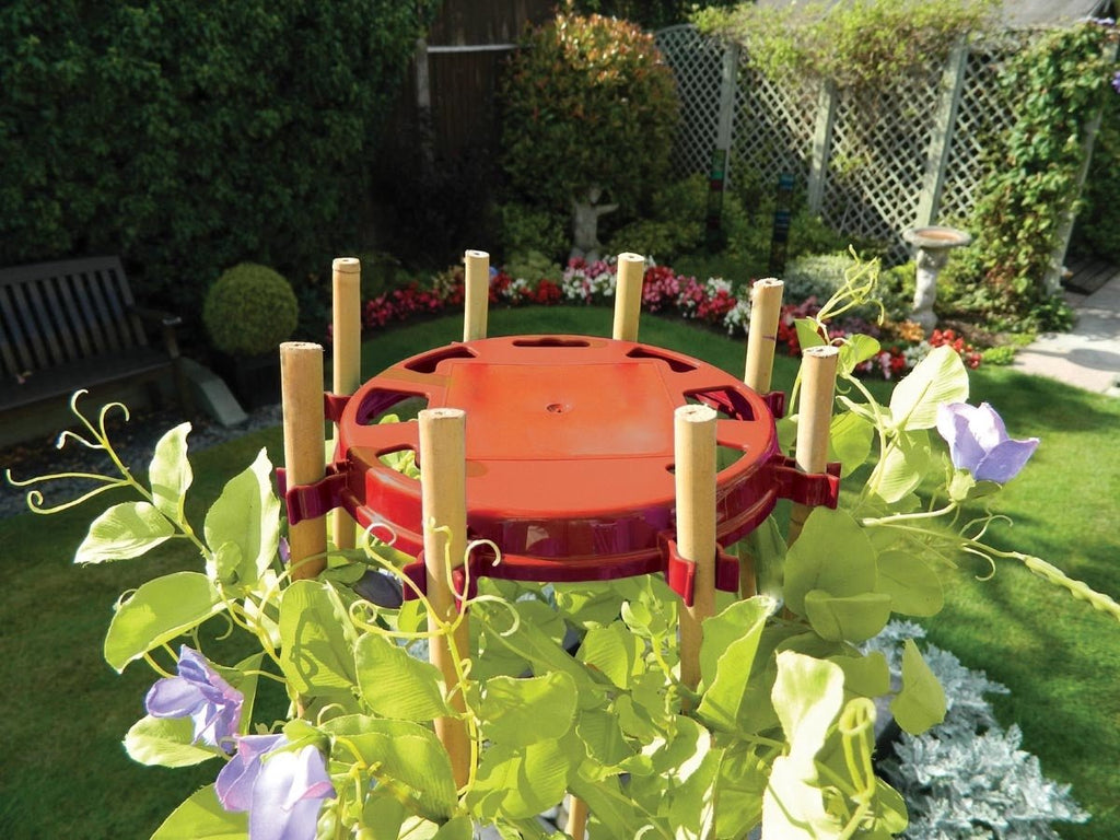 Bean & Pea Support Ring by Garland - 8 Cane Wigwam