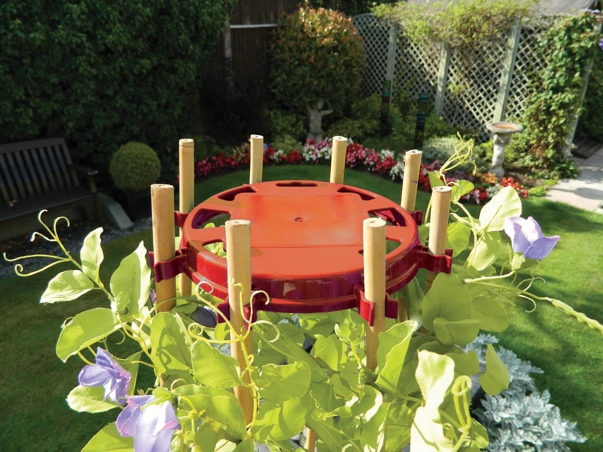 Bean & Pea Support Ring by Garland - 8 Cane Wigwam