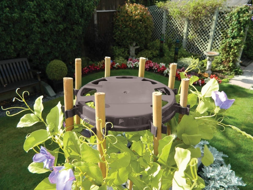 Bean & Pea Support Ring by Garland - 8 Cane Wigwam