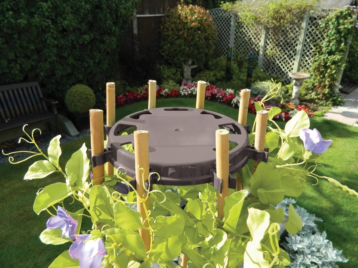 Bean & Pea Support Ring by Garland - 8 Cane Wigwam