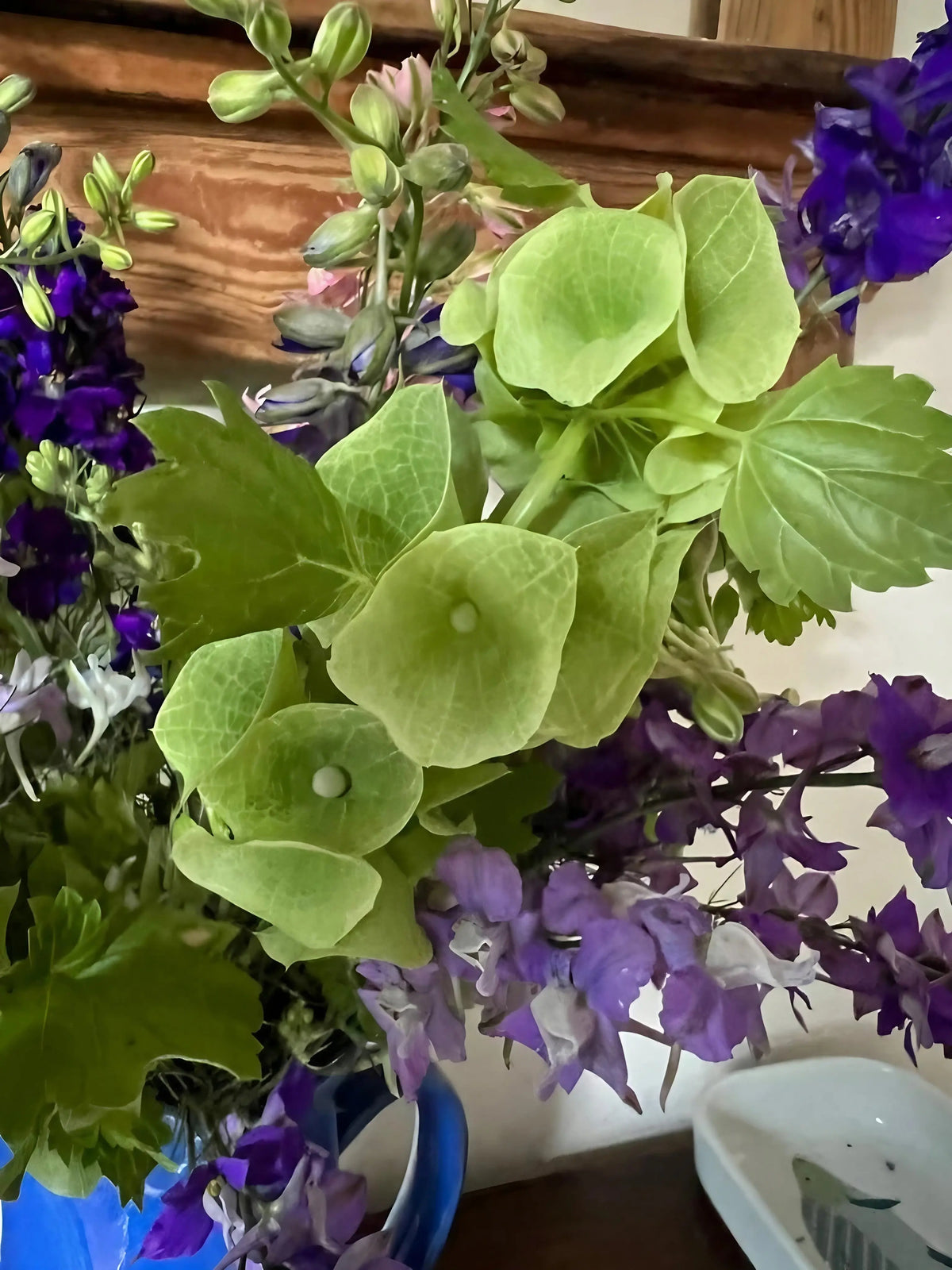Bells of Ireland with purple flowers in a blue vase indoors