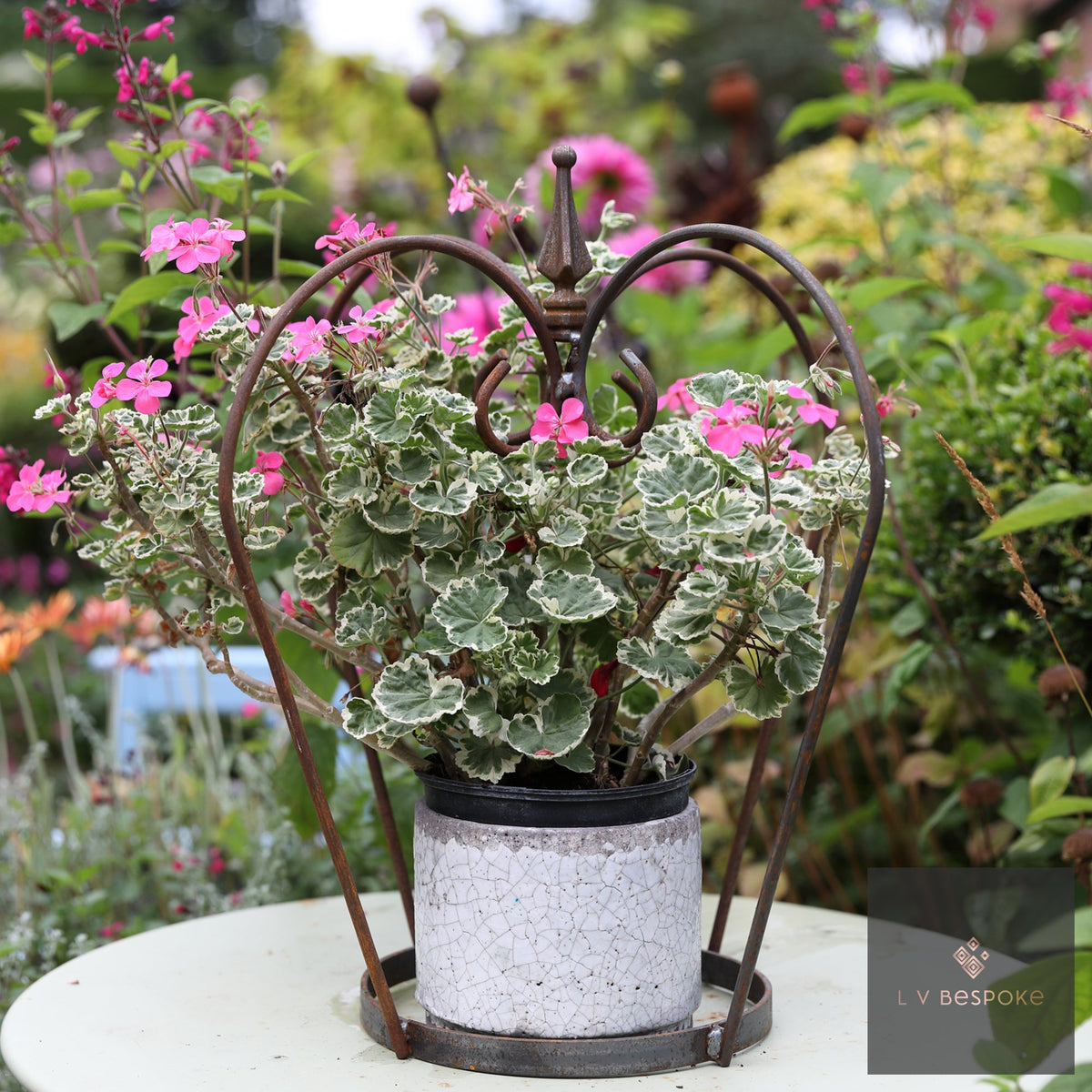 Crown plant support with heart-shaped scrolls around a variegated geranium in a white pot
