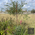 Two-arm bird feeding stake in a border with fields behind
