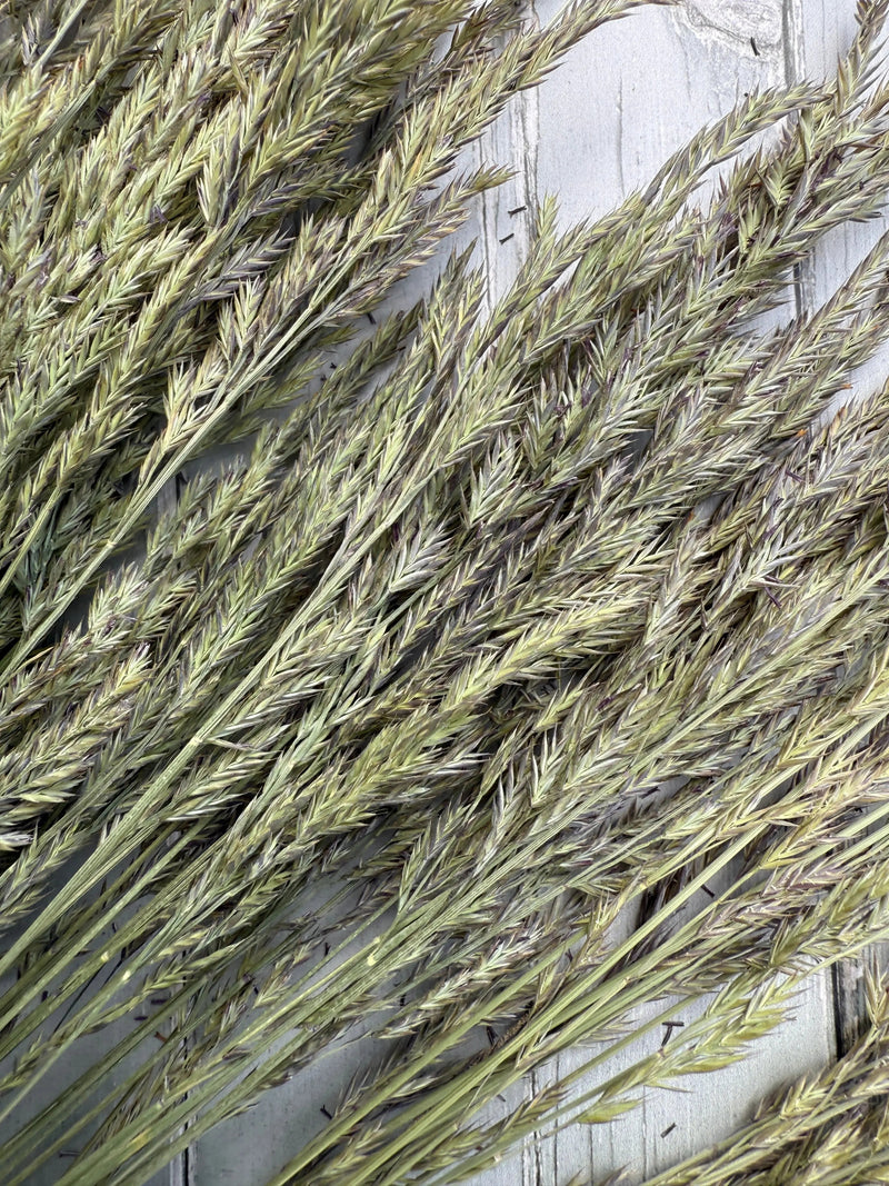 A close-up of dried wheat stalks and Blue Fescue Grass Dried by Bishy Barnabees Cottage Garden Ltd arranged on weathered, light gray wood. Textured grain heads and blue grass create a feathery, natural rustic look.