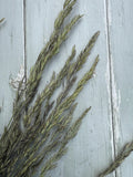 A bundle of Blue Fescue Grass Dried by Bishy Barnabees Cottage Garden Ltd rests diagonally on a weathered, light gray wooden surface with visible grain and peeling paint.