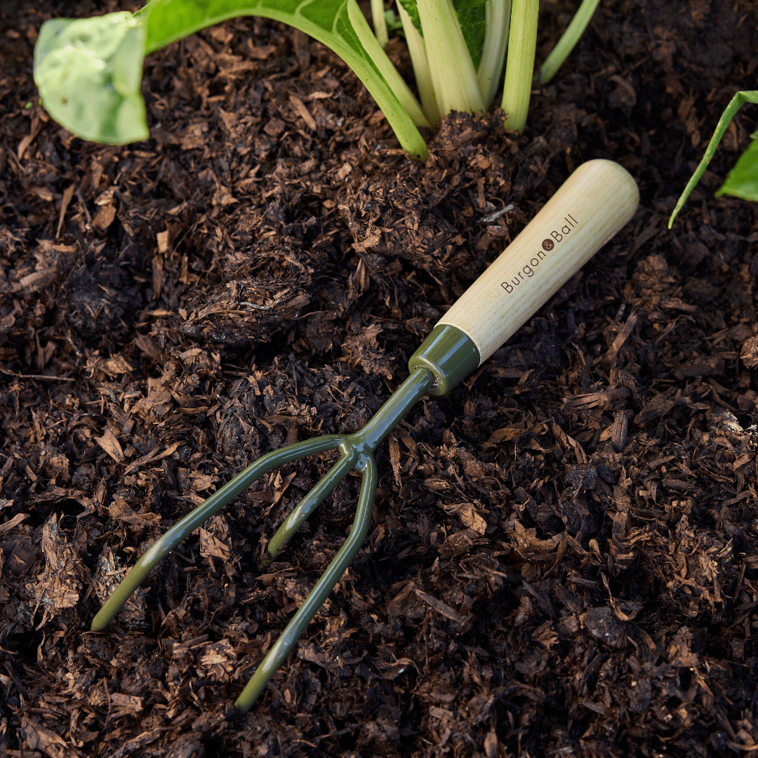 urgon & Ball RHS BoronGreen claw cultivator with green boron steel head and ash handle