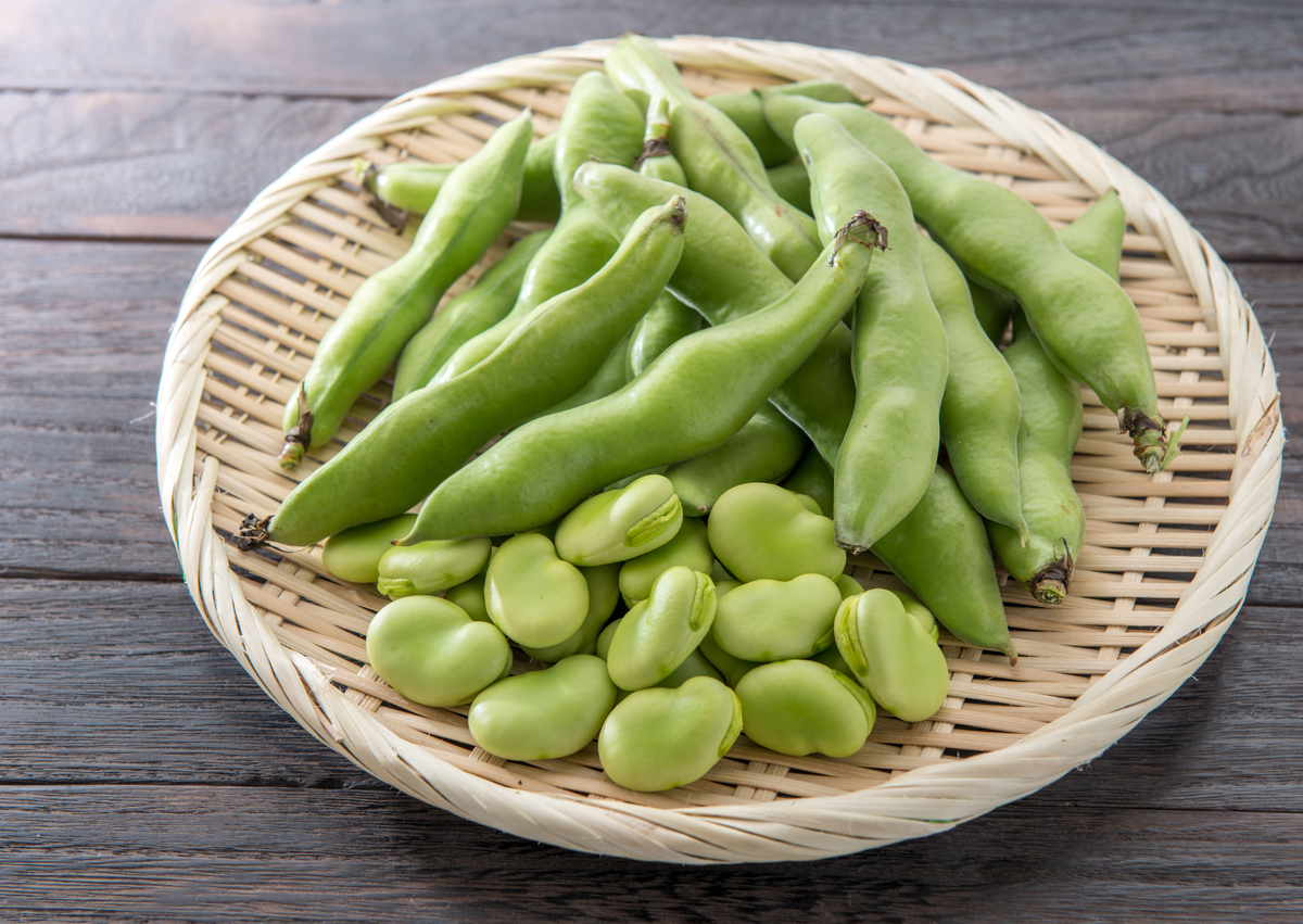 Shelled Aquadulce Claudia broad beans and pods in a woven basket on dark wood