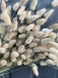 A close-up of Bishy Barnabees Cottage Garden Ltd's Bunny Tails Dried (Long), beige and fluffy with long stems, arranged against a dark wooden background.