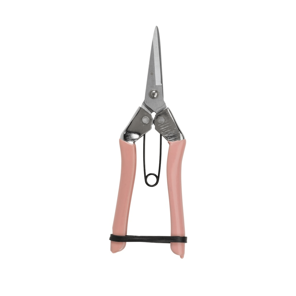 Burgon & Ball Collector Fruit & Flower Snips - Blush Pink