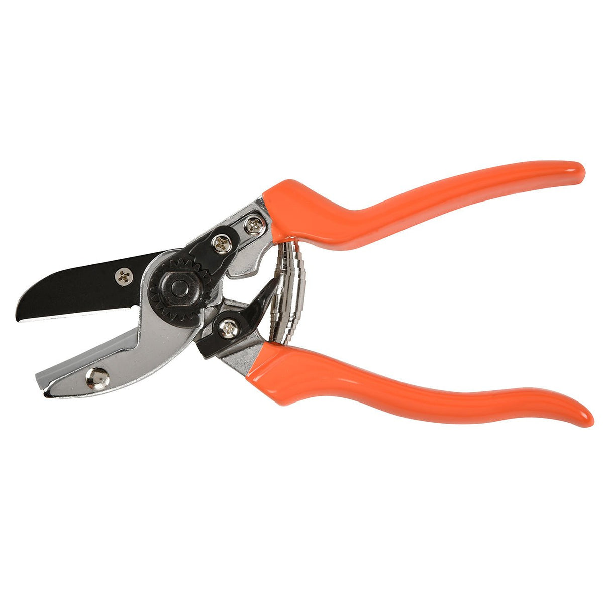 Burgon & Ball RHS Anvil Secateurs