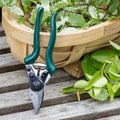 Professional Compact Bypass Secateurs – Lightweight Precision Cutting | RHS by Burgon & Ball