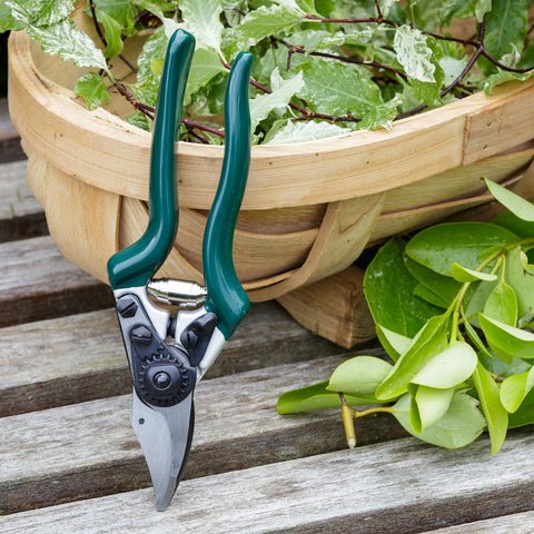 Professional Compact Bypass Secateurs – Lightweight Precision Cutting | RHS by Burgon & Ball
