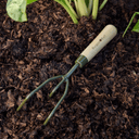 BoronGreen claw cultivator breaking up soil in a border