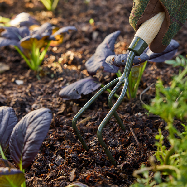 Burgon & Ball BoronGreen Claw Cultivator (RHS Endorsed)