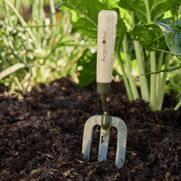 Burgon & Ball RHS BoronGreen Hand Fork