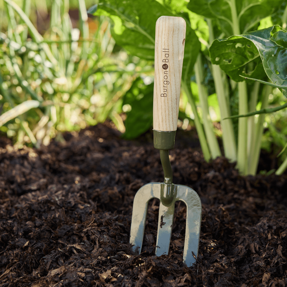 Burgon & Ball RHS BoronGreen Hand Fork