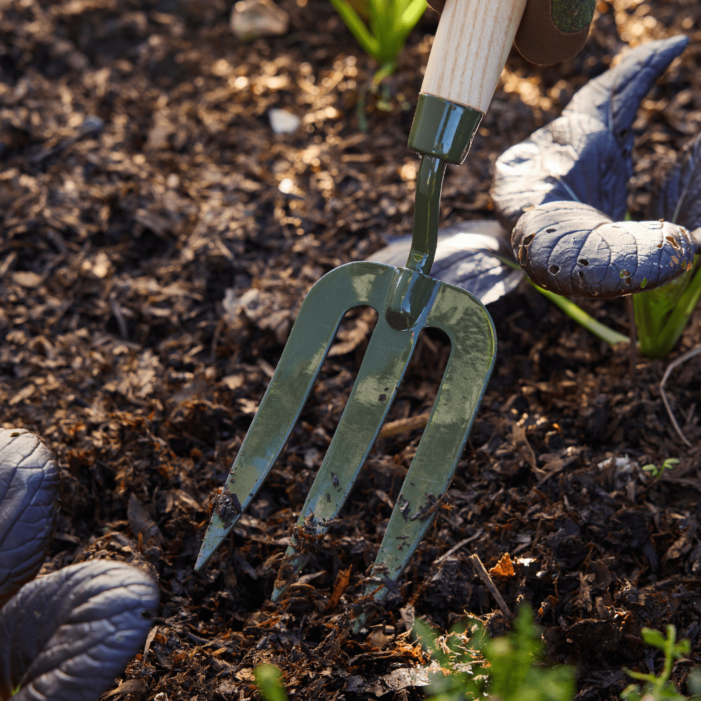 Burgon & Ball RHS BoronGreen Hand Fork