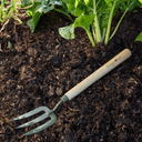 Burgon & Ball RHS BoronGreen Mid-Handled Fork