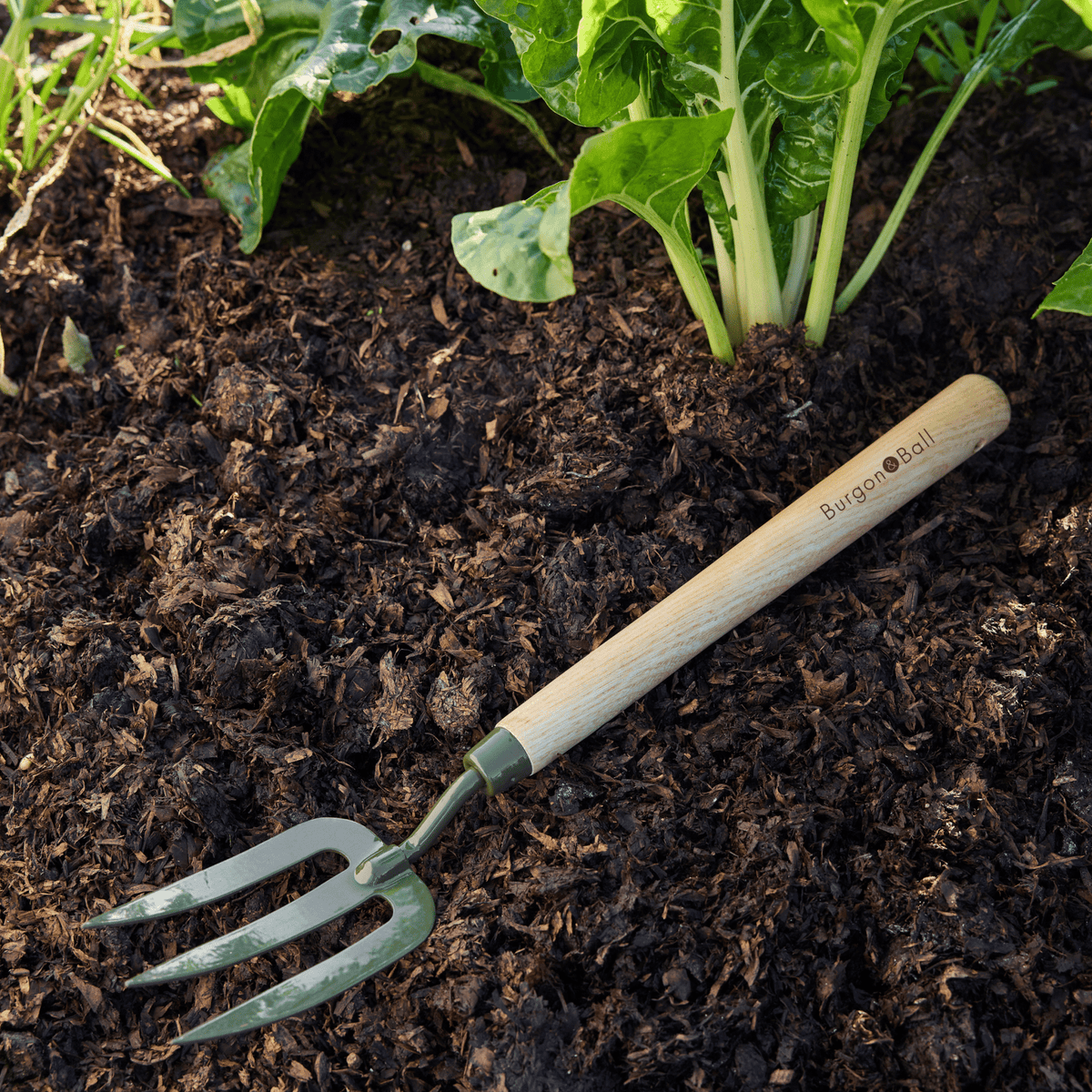 Burgon & Ball RHS BoronGreen Mid-Handled Fork