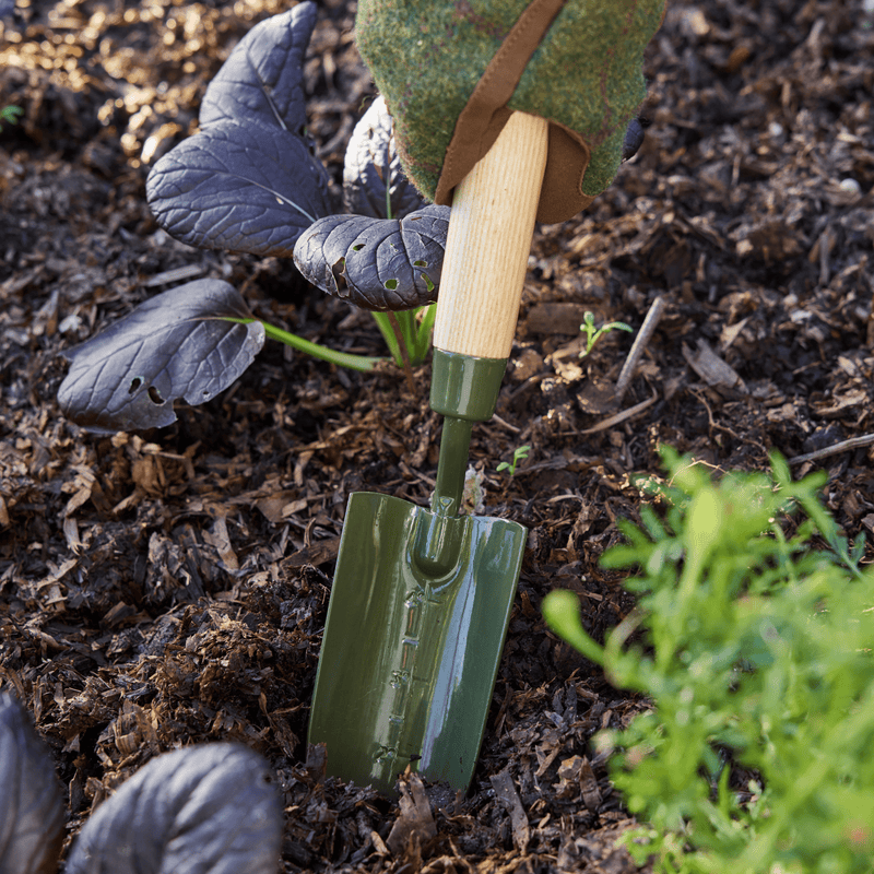 Burgon & Ball RHS BoronGreen Transplanter
