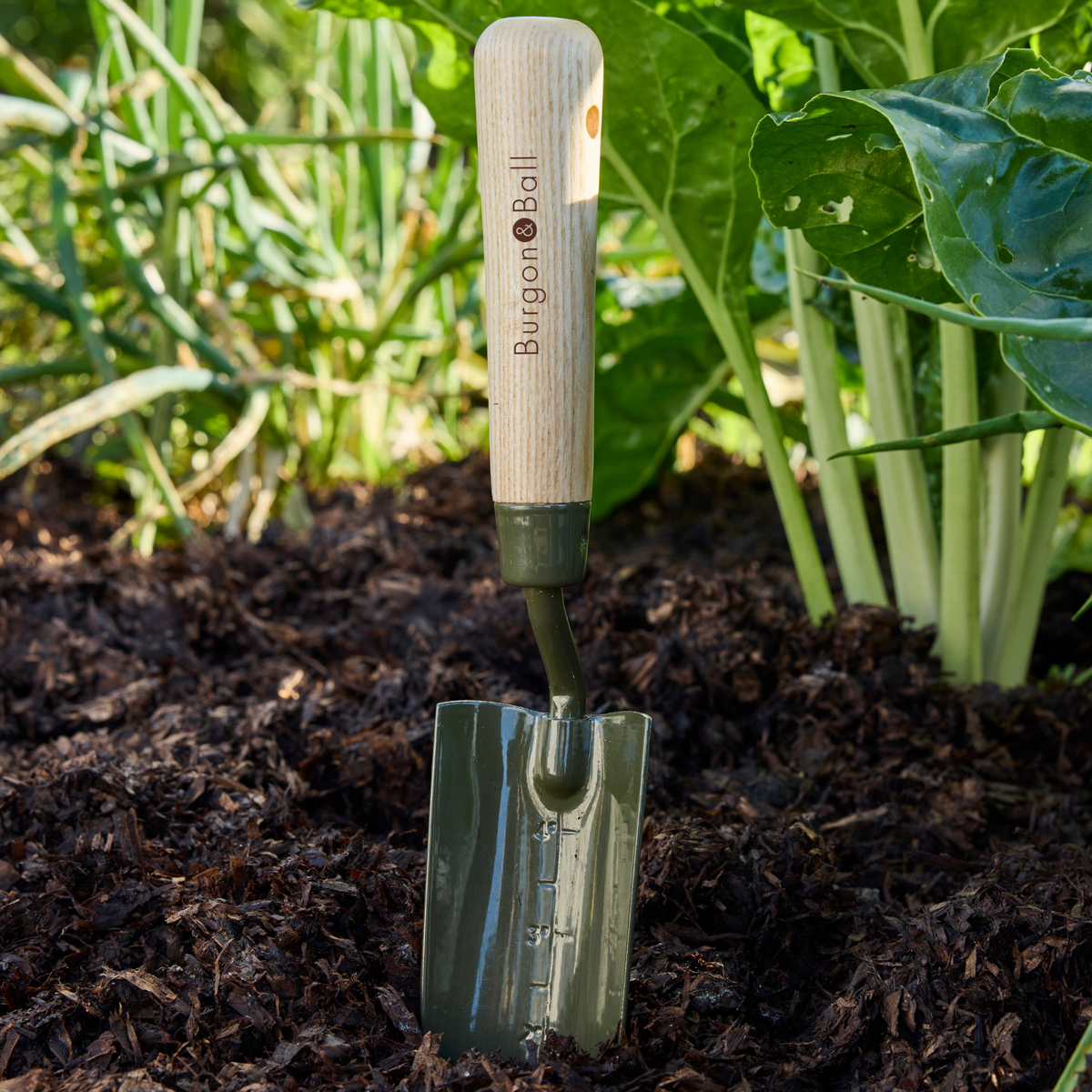Burgon & Ball RHS BoronGreen Transplanter