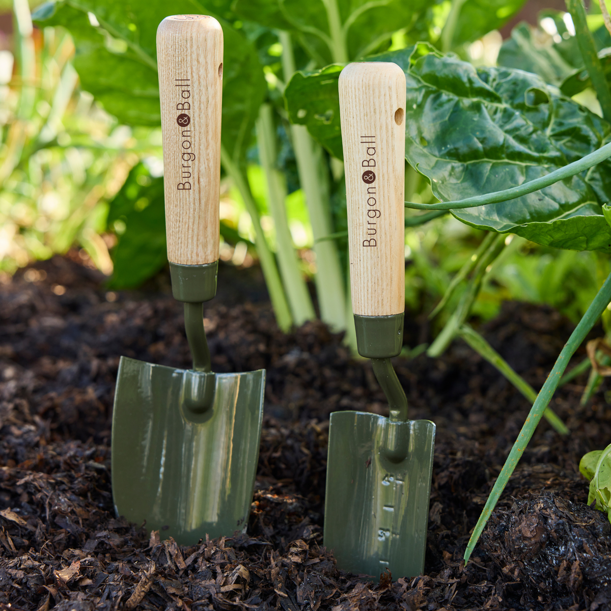 Burgon & Ball RHS BoronGreen Transplanter
