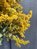 A close-up of vibrant yellow Canadensis (Goldenrod) Dried from Bishy Barnabees Cottage Garden Ltd, with green stems and leaves, arranged against a dark gray wooden background.