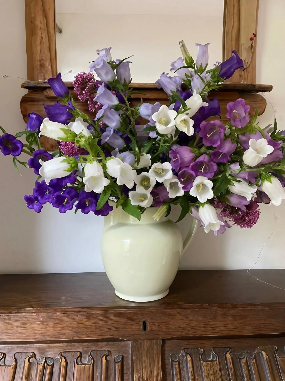 Large bunch of Canterbury Bells in a cream jug on a dark table before a mirror