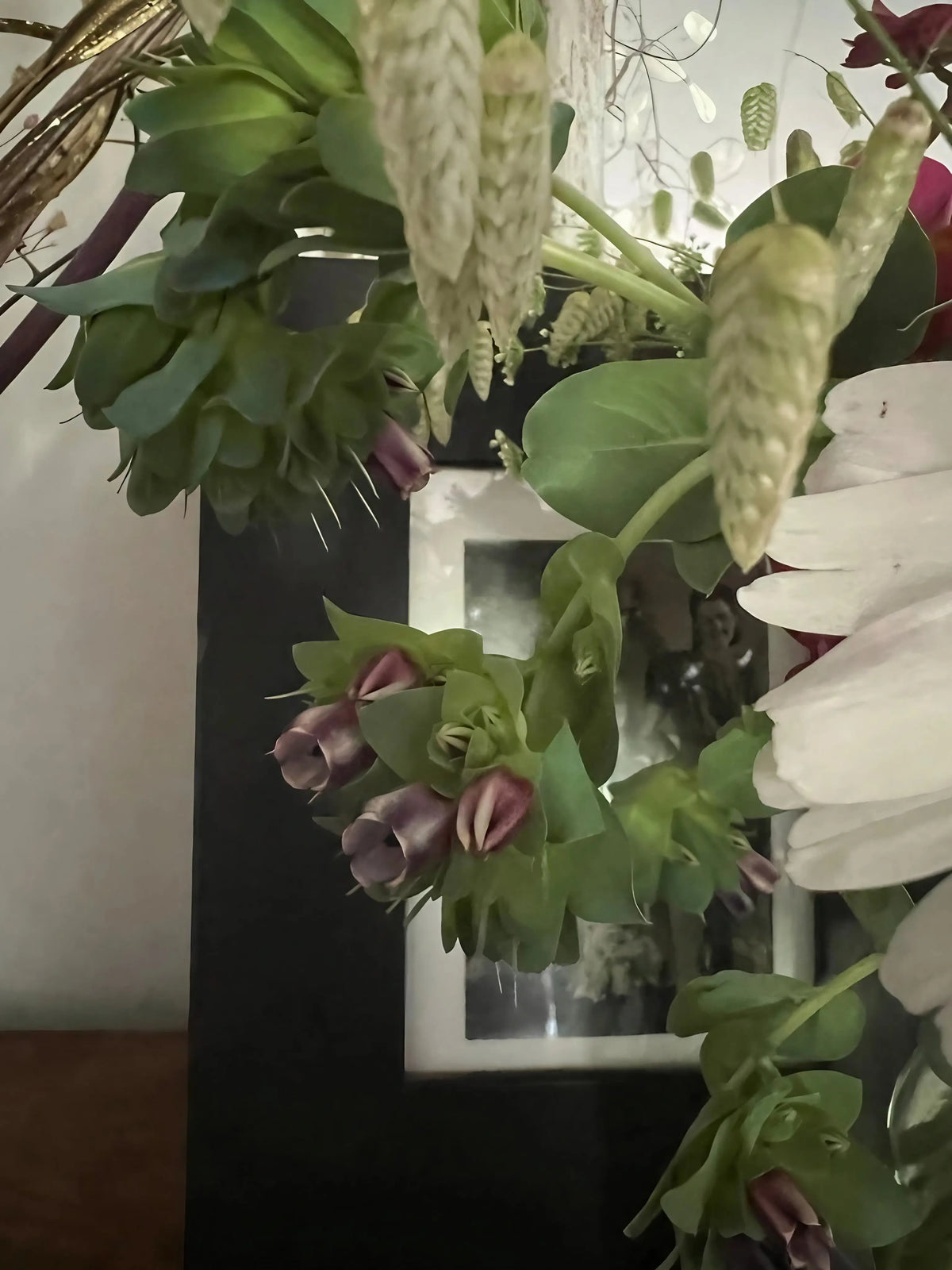 Cerinthe in a mixed arrangement with green Bells of Ireland and white petals