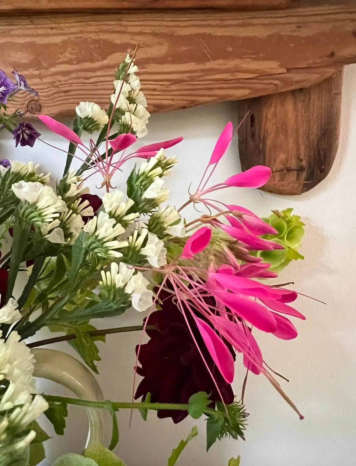 Cleome Cherry Queen in a mixed pink, white, purple and red bouquet on a wooden mantel