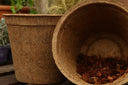 28cm Coir Plant Pots – 100% Biodegradable & Peat-Free