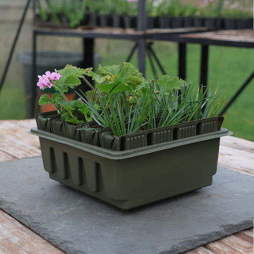 Haxnicks Compact Rapid Rootrainers | 20 Cells