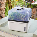 GroZone Perfect Propagator, Self Watering, 23cm