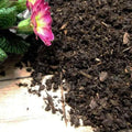 Composted Mulch Bark Fines