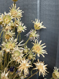 A cluster of pale yellow Cornflower Dried from Bishy Barnabees Cottage Garden Ltd, featuring spiky petals and thin stems, is arranged before a textured, dark gray wooden wall.