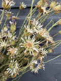 A detailed shot of Bishy Barnabees Cottage Garden Ltd’s Cornflower Dried, showcasing spiky, faded petals and slender stems on a dark wood background. Air-dried cornflowers introduce purple accents to the beige and brown arrangement.