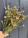 A hand holds a Cornflower Dried arrangement by Bishy Barnabees Cottage Garden Ltd, featuring thin green stems and small yellow blossoms, set against a dark grey wooden background.