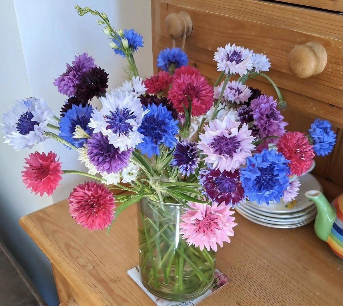 Cornflower Polka Dot Mixed in a glass vase with purple, blue, pink and white blooms
