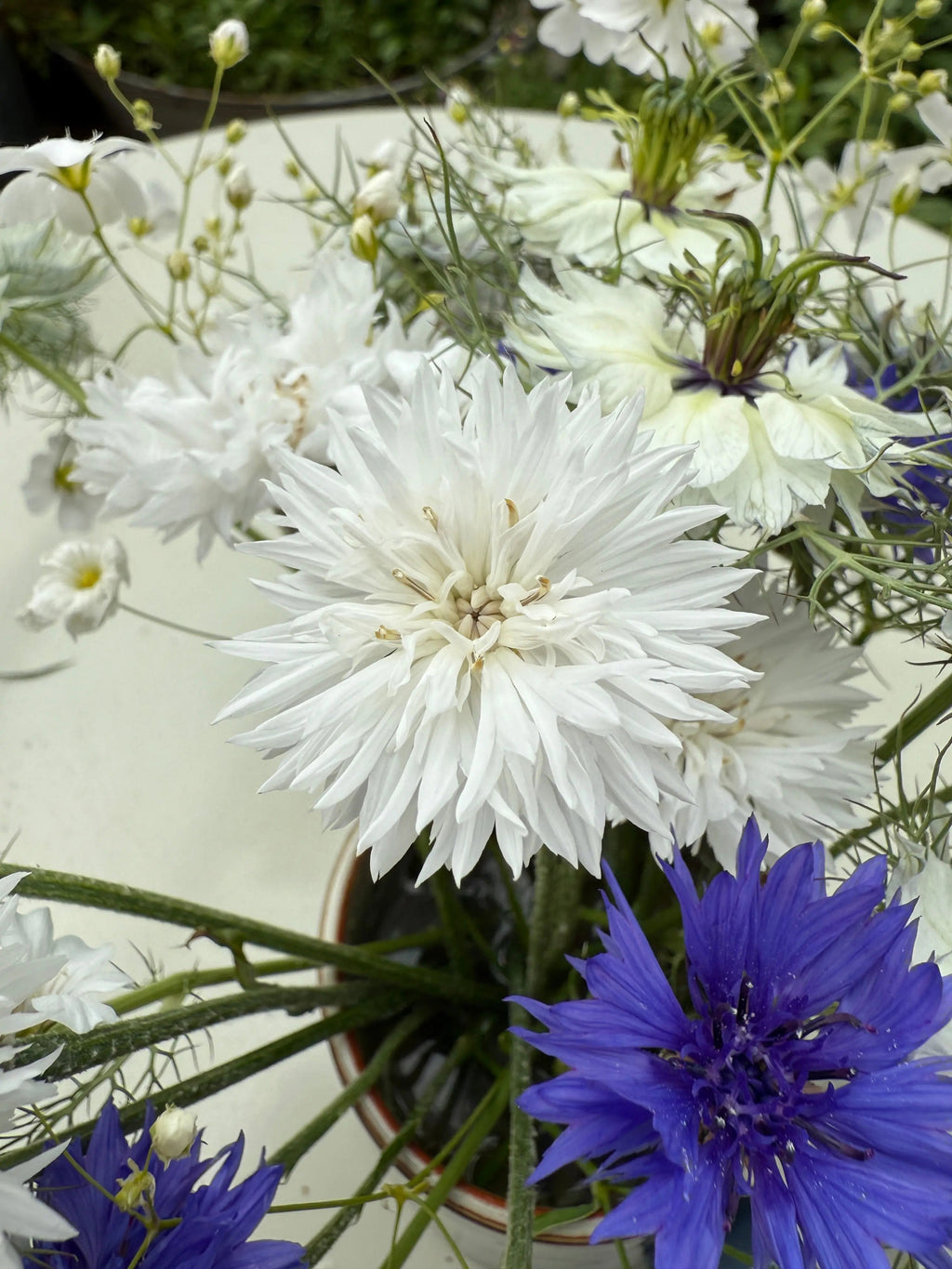 A close-up of the Cornflower Snowman bouquet by Bishy Barnabees Cottage Garden, showcasing a large white spiky flower surrounded by double blooms and vibrant blue cornflowers for a charming cottage garden style.