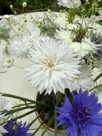 A close-up of the Cornflower Snowman bouquet by Bishy Barnabees Cottage Garden, showcasing a large white spiky flower surrounded by double blooms and vibrant blue cornflowers for a charming cottage garden style.