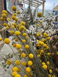 A close-up photo of a bouquet with Craspedia Dried by Bishy Barnabees Cottage Garden, featuring yellow Billy Buttons, white blooms, and other dried flowers, captured outdoors near a house and garden structure.