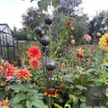 Bespoke Cluster of 5 Cups or Balls | Norfolk Steel Garden Feature