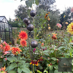 Bespoke Cluster of 5 Cups or Balls | Norfolk Steel Garden Feature