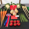A display of vegetables grown in Dandy's Topsoil & Landscape Supplies' Topsoil Welsh VegeGrow®—including carrots, cauliflower, onions, parsnips, runner beans, and tomatoes—neatly arranged with award ribbons and certificates on a table for a show.