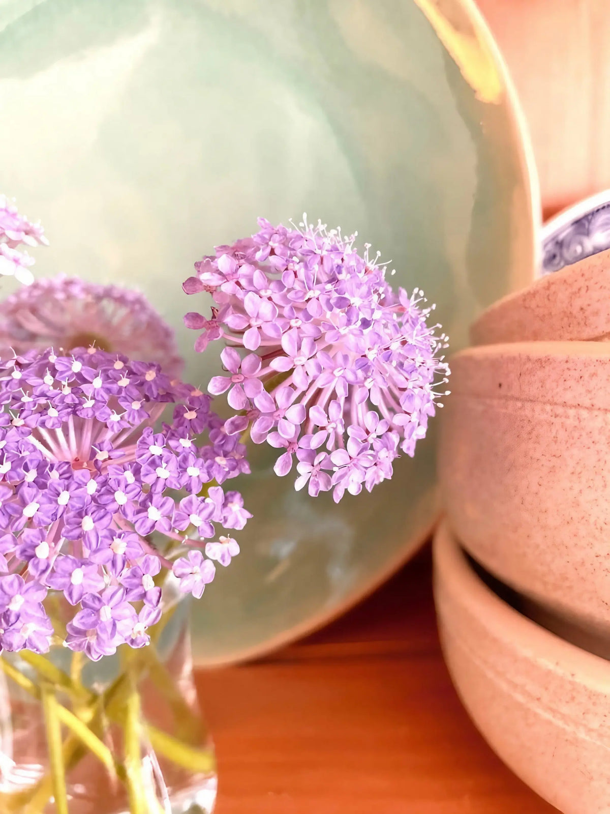 Didiscus Madonna Mixed – lilac lacy flower heads in a glass vase beside a green plate and pink bowls