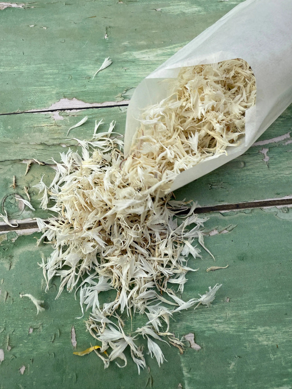 Dried Flower Petals – bag of natural white dried petals