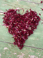 Dried Flower Petals – bag of natural burgundy dried petals