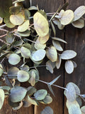 A close-up of pale green and silvery Eucalyptus Dried from Bishy Barnabees Cottage Garden Ltd, featuring round leaves on slender stems arranged on a dark wooden background, hinting at eucalyptus’s signature calming, spa-like scent.