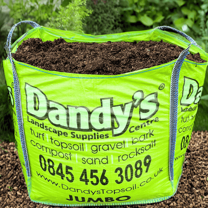 Dandy&