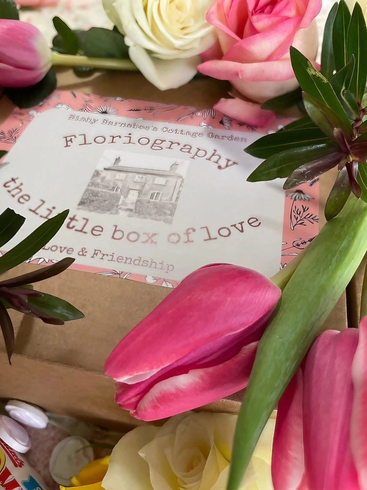 Floriography: The Little Box of Love surrounded by pink tulips and pale roses
